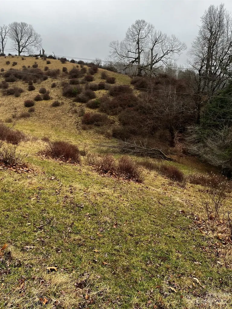 Tbd Poplar Grove Road Boone NC 28607