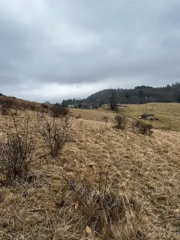 Tbd Poplar Grove Road Boone NC 28607