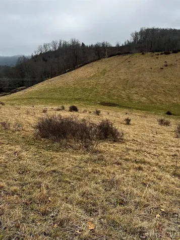 Tbd Poplar Grove Road Boone NC 28607