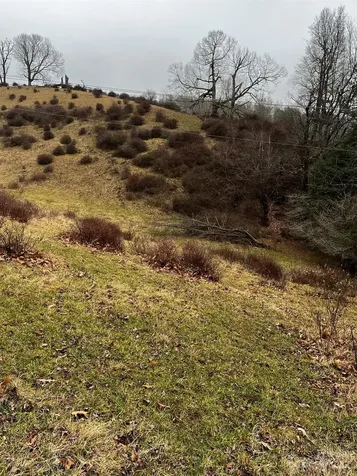 Tbd Poplar Grove Road Boone NC 28607
