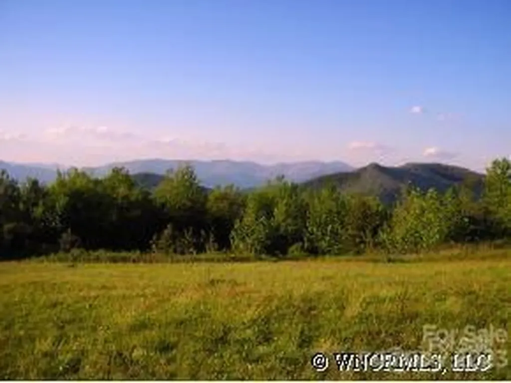 9999 Ebby Ridge Drive Fairview NC 28730