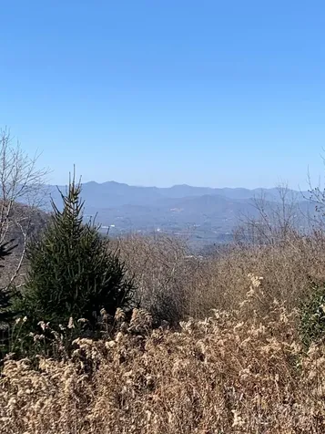 9999 Ebby Ridge Drive Fairview NC 28730