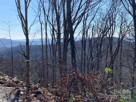 9999 Ebby Ridge Drive Fairview NC 28730