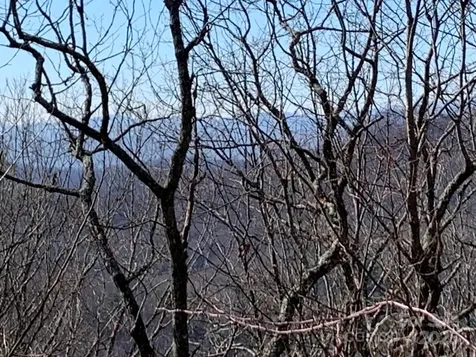 9999 Ebby Ridge Drive Fairview NC 28730
