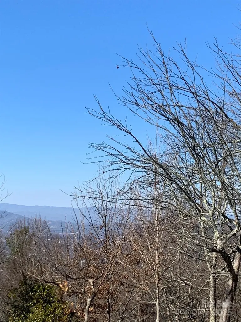9999 Ebby Ridge Drive Fairview NC 28730