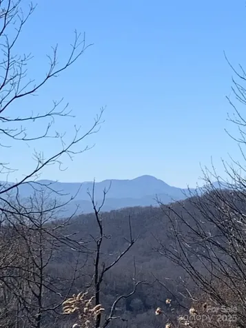 9999 Ebby Ridge Drive Fairview NC 28730
