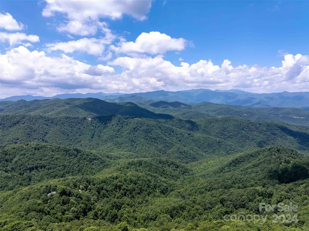 561 N Haven Drive Black Mountain NC 28711