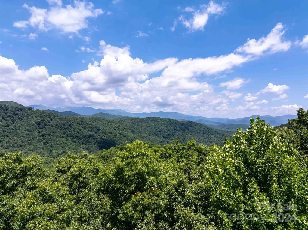 561 N Haven Drive Black Mountain NC 28711