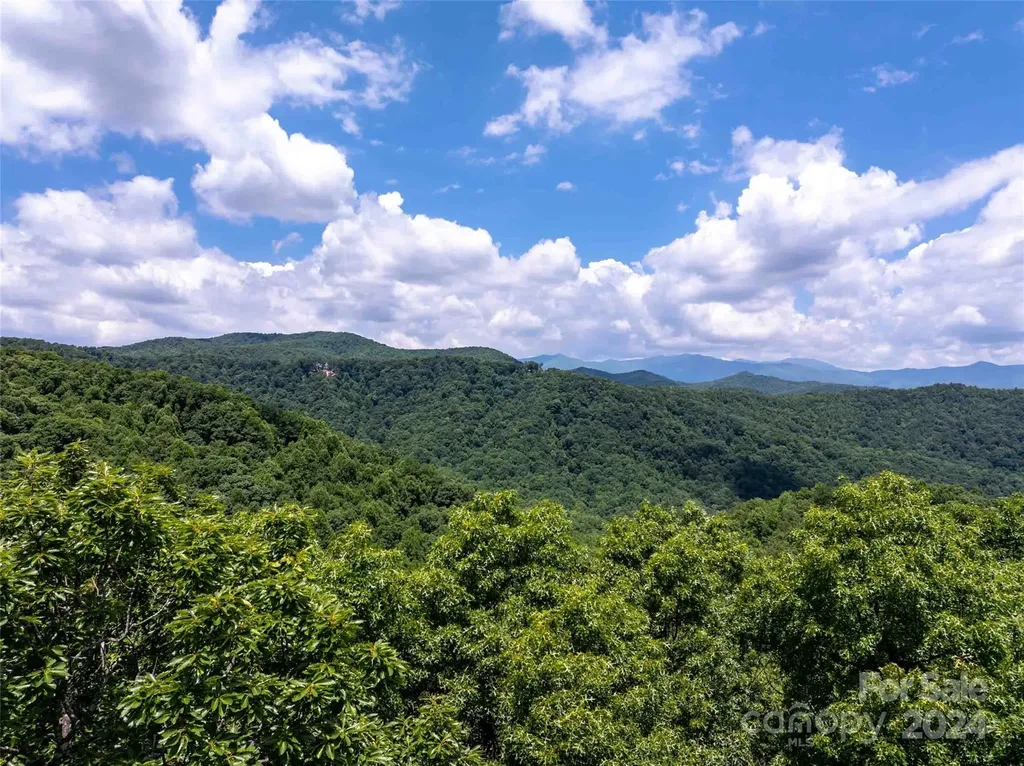 561 N Haven Drive Black Mountain NC 28711