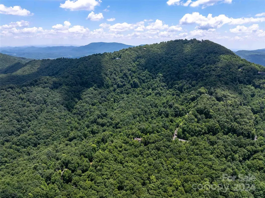 561 N Haven Drive Black Mountain NC 28711