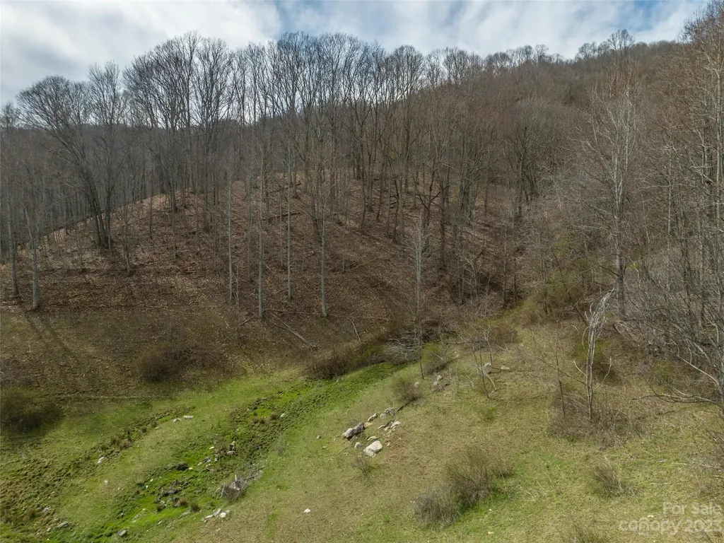00 Wesley Creek Road Clyde NC 28721