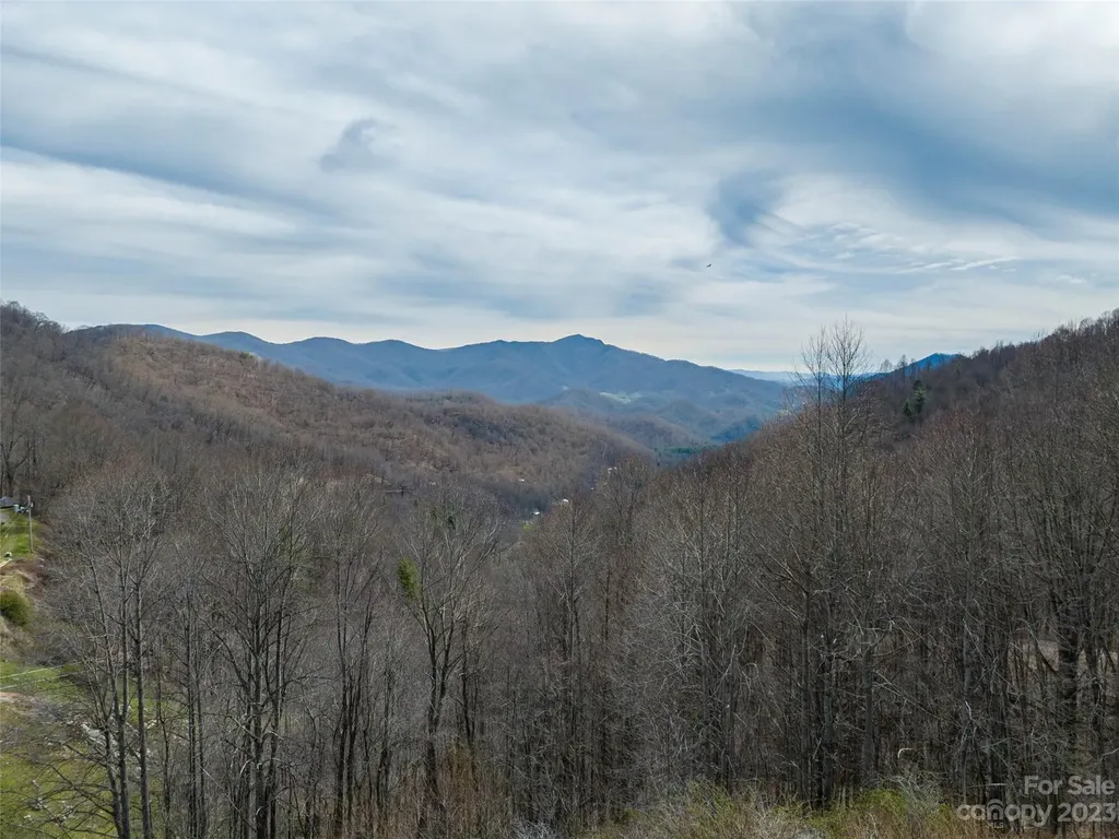 00 Wesley Creek Road Clyde NC 28721