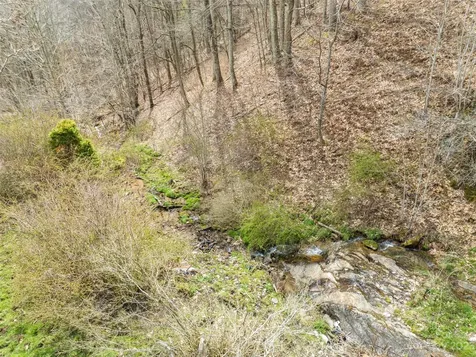 00 Wesley Creek Road Clyde NC 28721