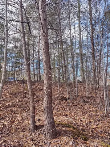 2 Riverview Forest Drive Marion NC 28752