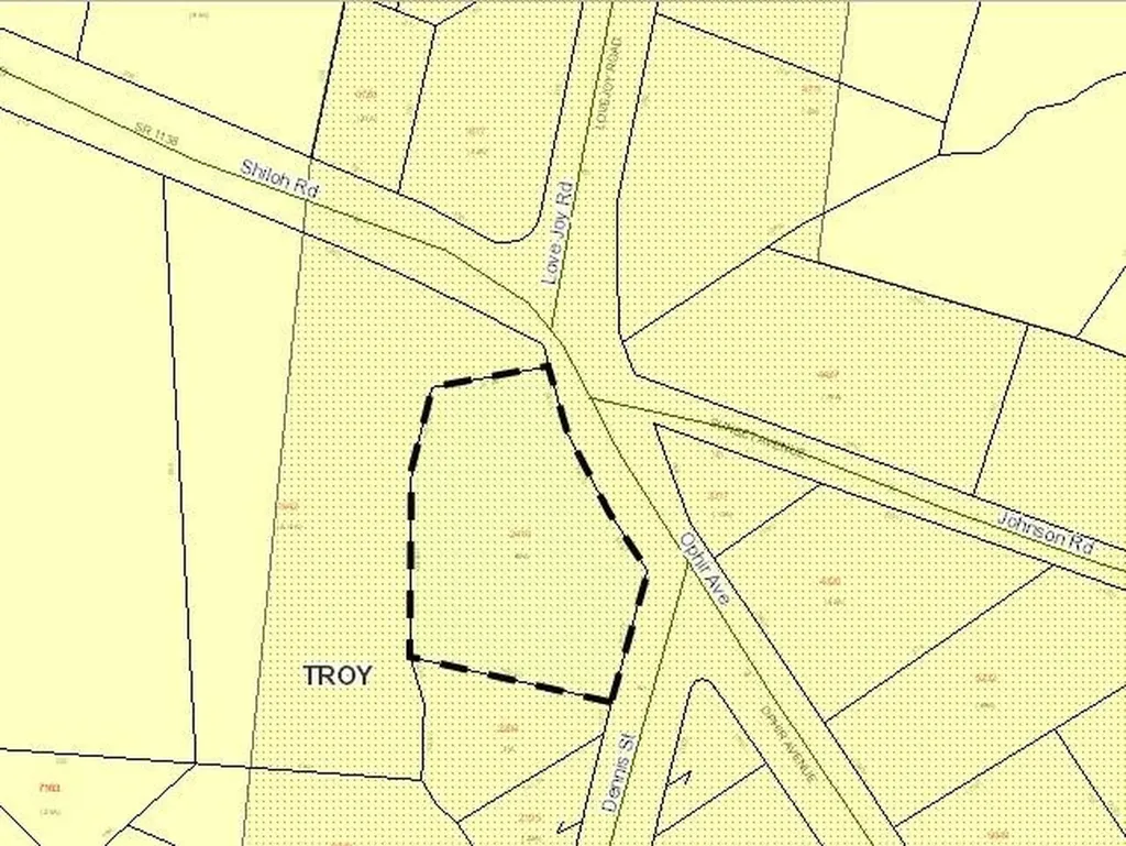 0925 Ophir Avenue Troy NC 27371