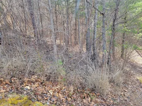 235 Macduff Lane Weaverville NC 28787
