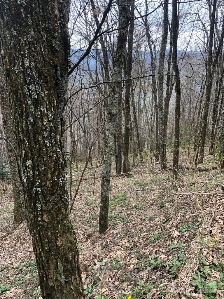 Lot 18 Quail Ridge Drive Maggie Valley NC 28751