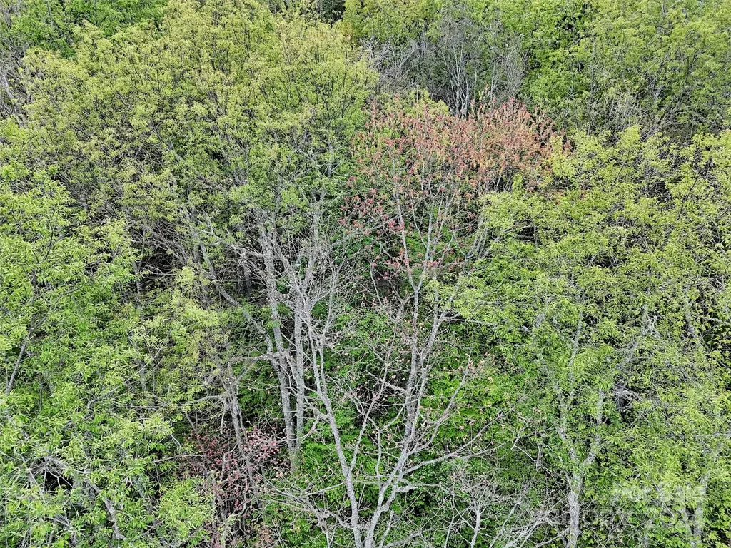 Lot 18 Quail Ridge Drive Maggie Valley NC 28751