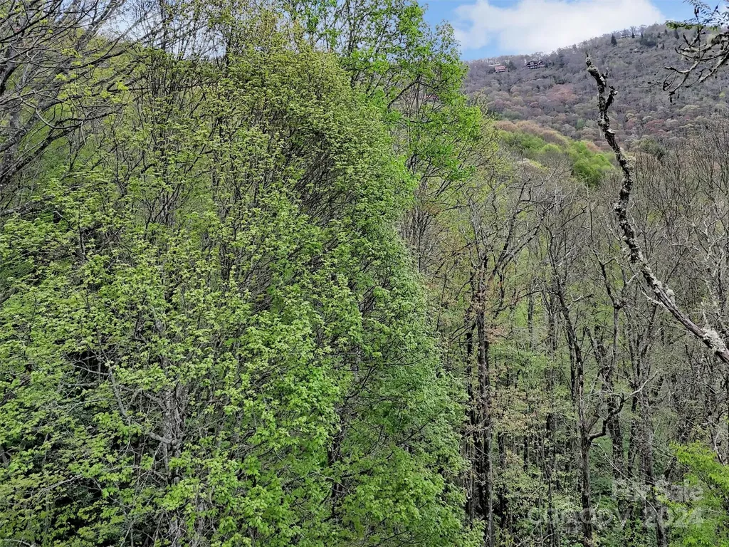Lot 18 Quail Ridge Drive Maggie Valley NC 28751