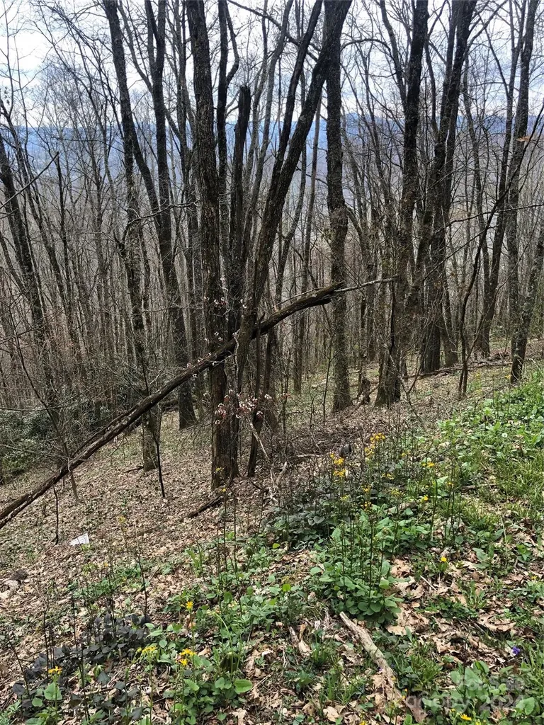 Lot 18 Quail Ridge Drive Maggie Valley NC 28751