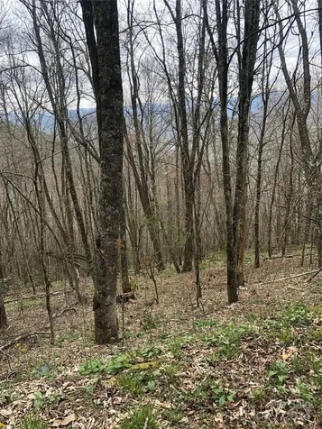 Lot 18 Quail Ridge Drive Maggie Valley NC 28751