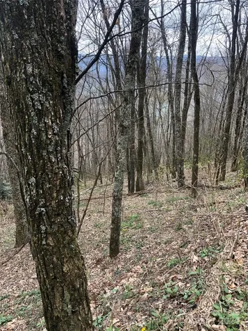 Lot 18 Quail Ridge Drive Maggie Valley NC 28751