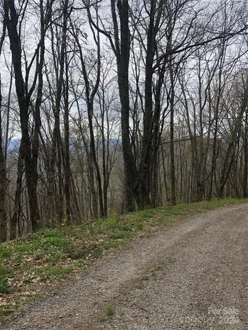 Lot 18 Quail Ridge Drive Maggie Valley NC 28751