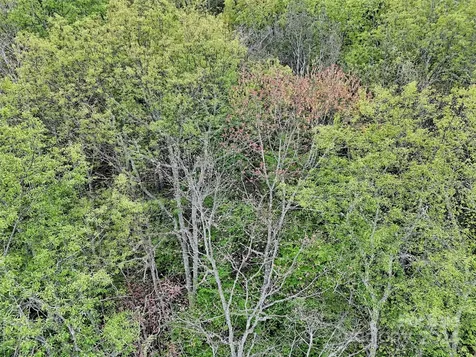 Lot 18 Quail Ridge Drive Maggie Valley NC 28751