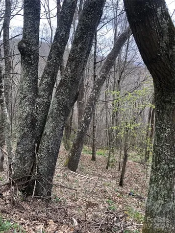 Lot 18 Quail Ridge Drive Maggie Valley NC 28751