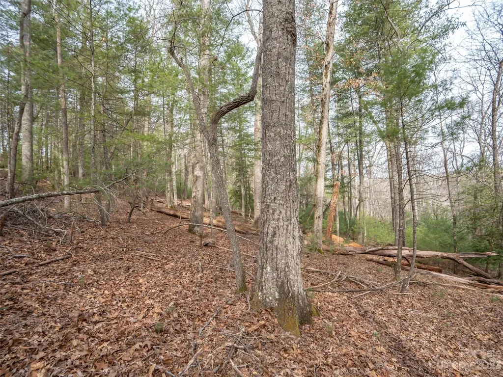 9999 Cedar Hill Drive Asheville NC 28803