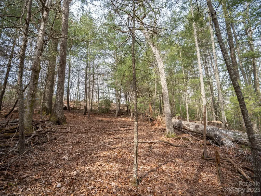 9999 Cedar Hill Drive Asheville NC 28803