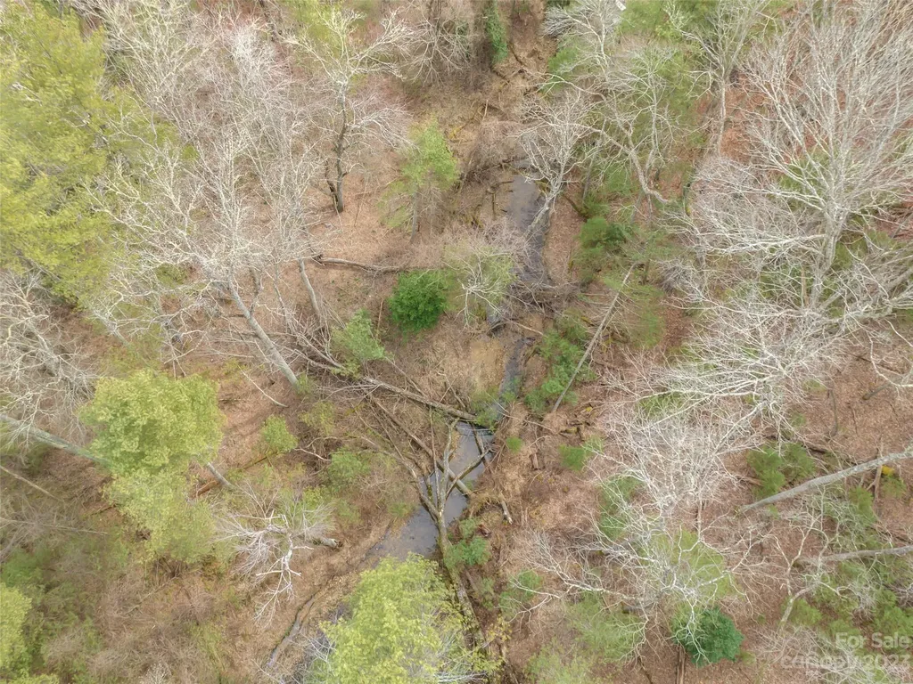 9999 Cedar Hill Drive Asheville NC 28803