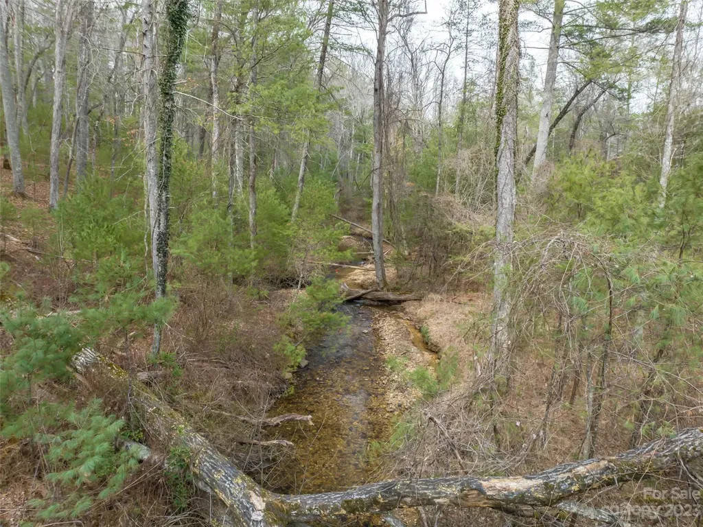 9999 Cedar Hill Drive Asheville NC 28803