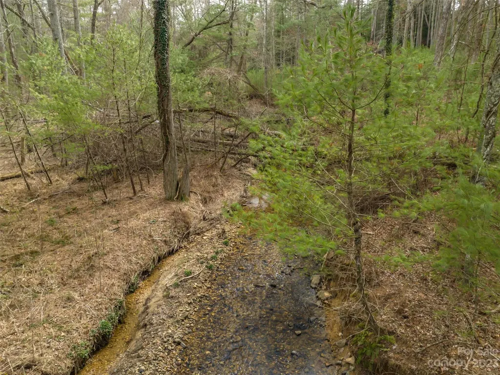9999 Cedar Hill Drive Asheville NC 28803