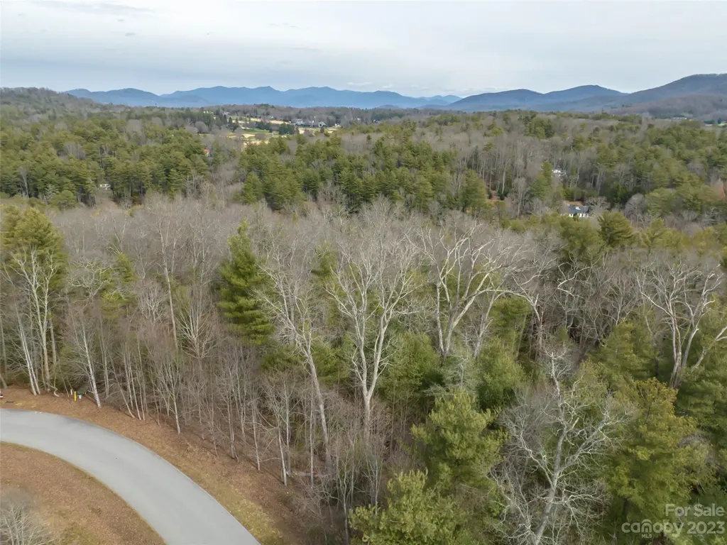 9999 Cedar Hill Drive Asheville NC 28803