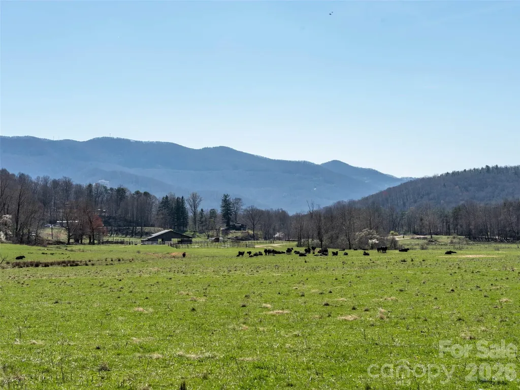 26 Great Aspen Way Black Mountain NC 28711
