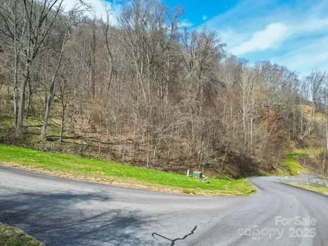 580 Freemont Drive Leicester NC 28748