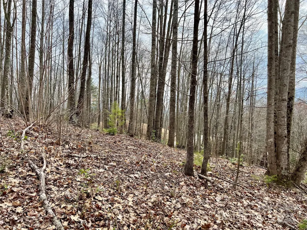 2.1 Acre Lot 930 Soaring Top Lane Lenoir NC 28645