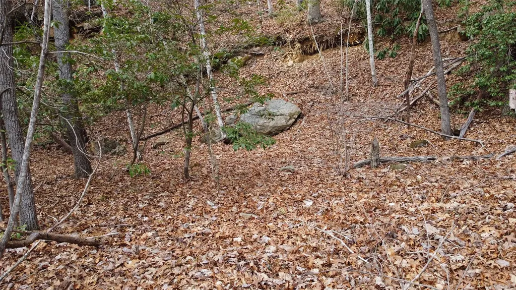 0000 Lookout Terrace Road Black Mountain NC 28711