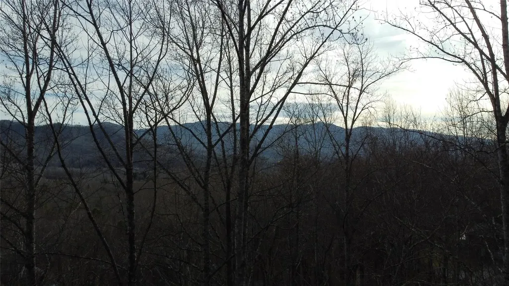 0000 Lookout Terrace Road Black Mountain NC 28711