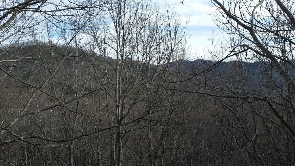 0000 Lookout Terrace Road Black Mountain NC 28711