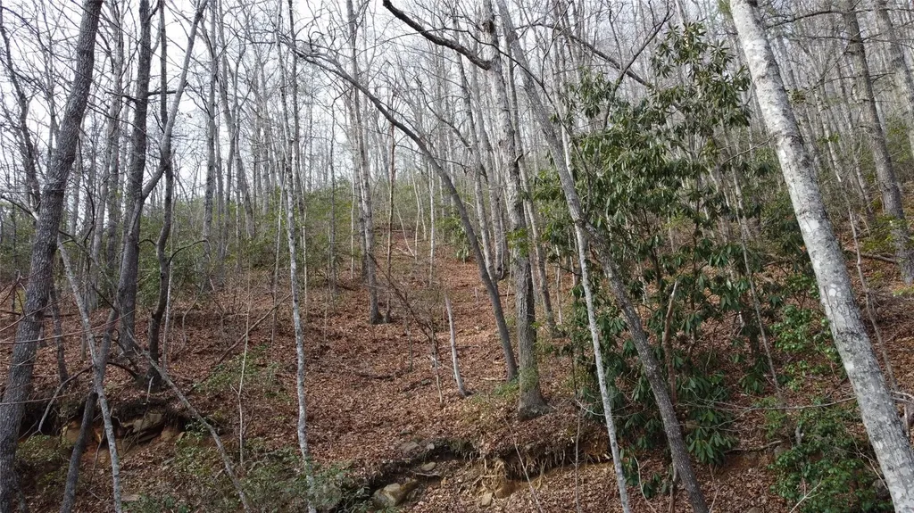 0000 Lookout Terrace Road Black Mountain NC 28711