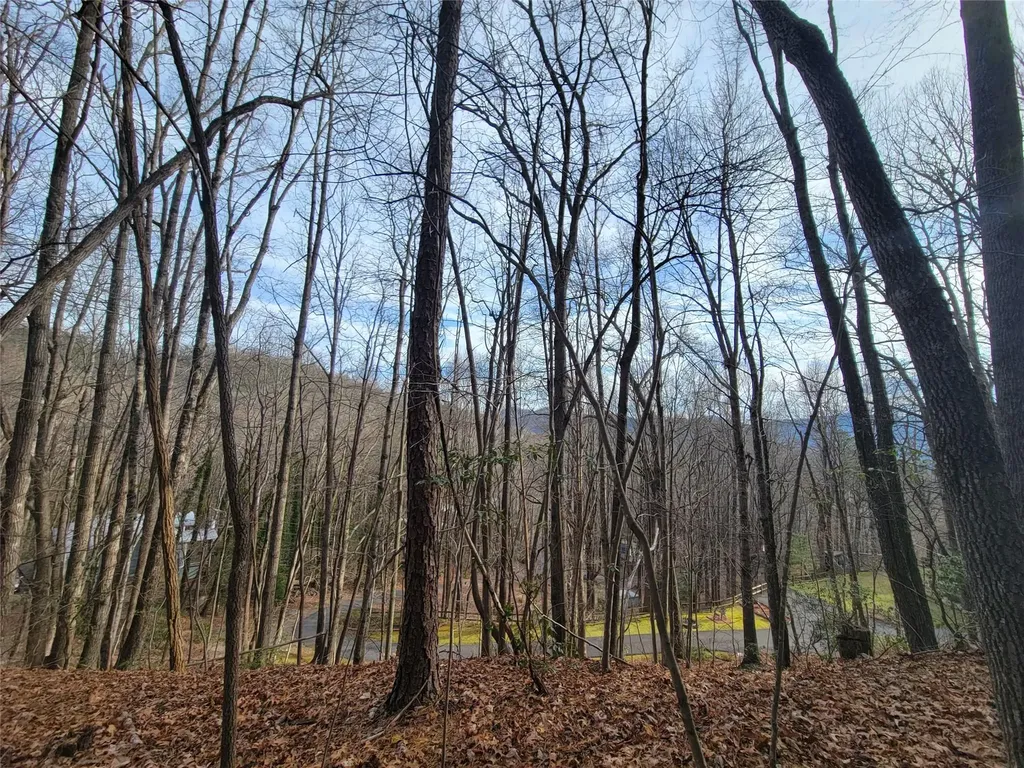 0000 Lookout Terrace Road Black Mountain NC 28711