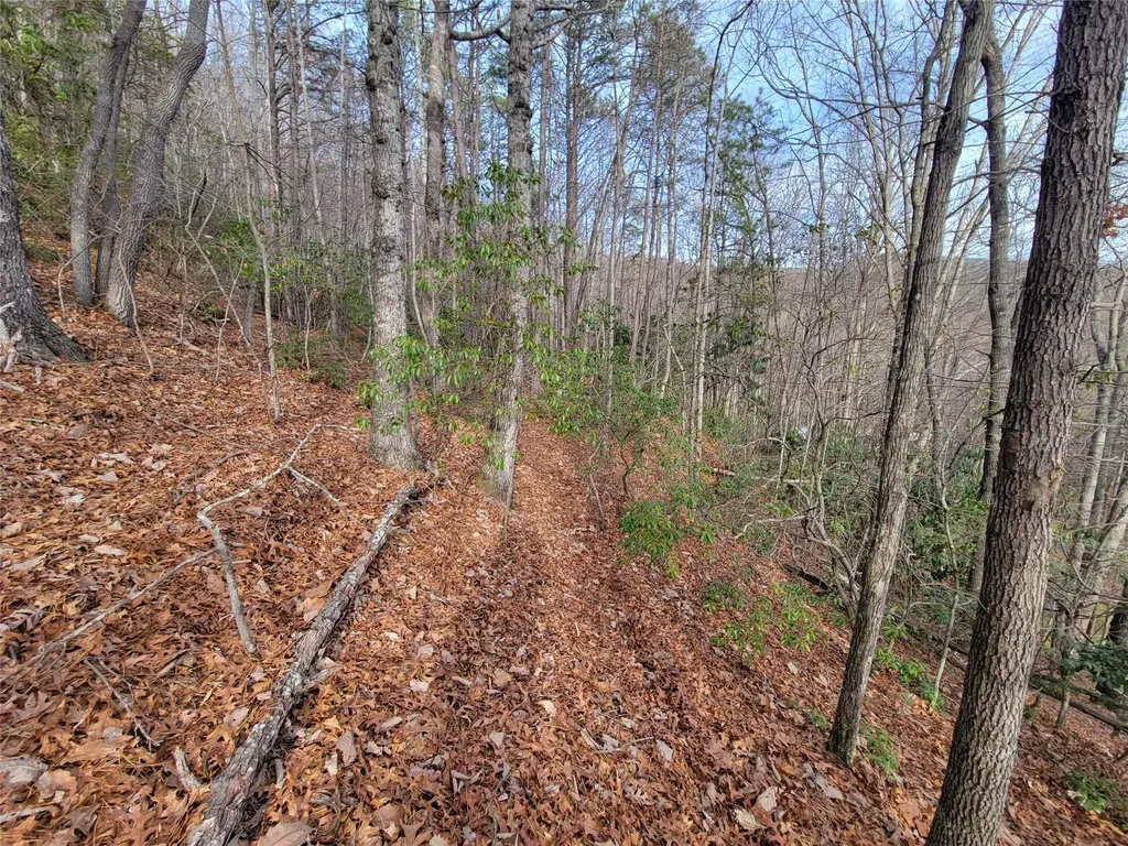0000 Lookout Terrace Road Black Mountain NC 28711