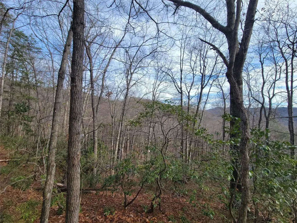 0000 Lookout Terrace Road Black Mountain NC 28711
