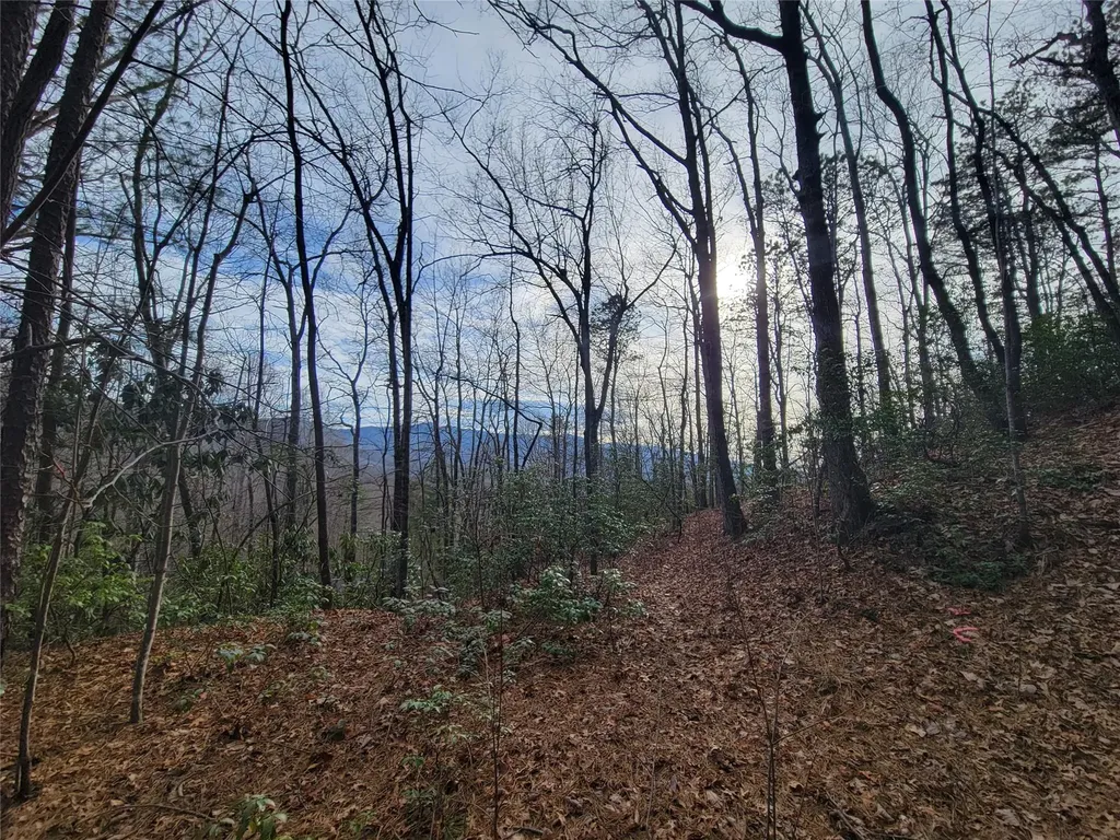 0000 Lookout Terrace Road Black Mountain NC 28711