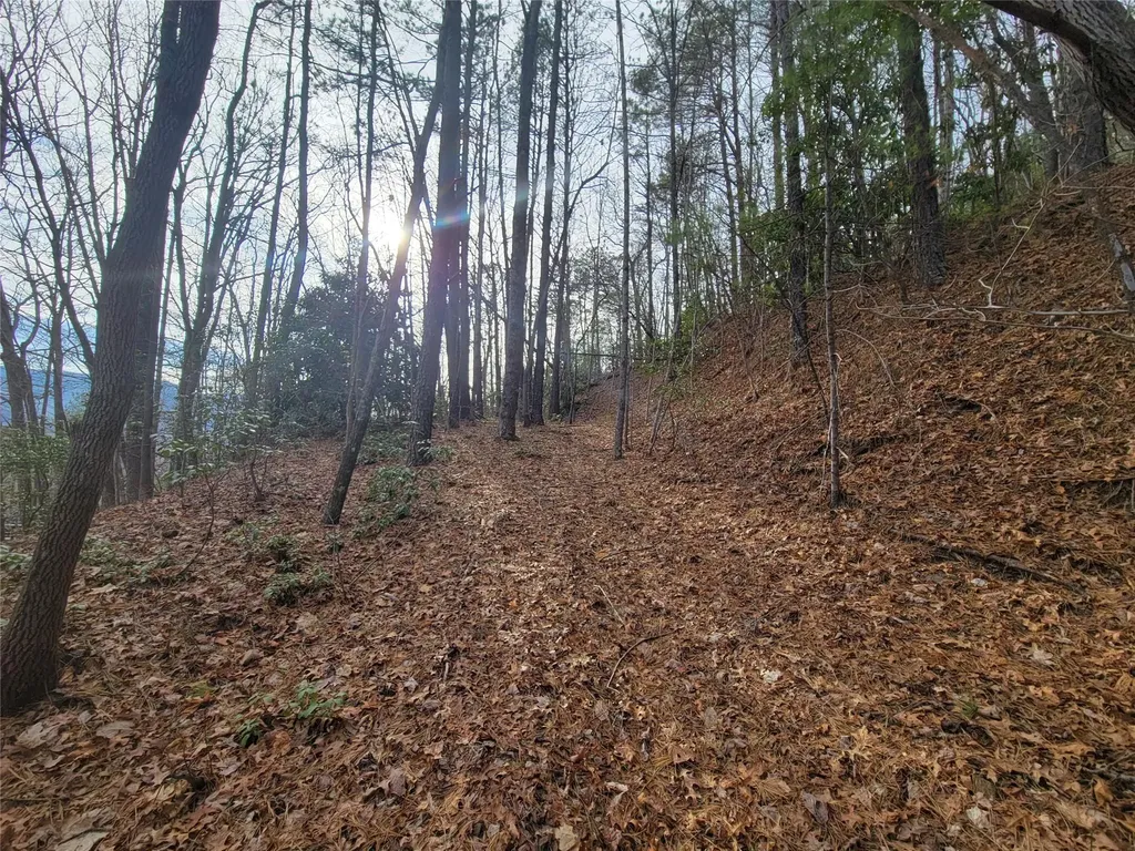 0000 Lookout Terrace Road Black Mountain NC 28711