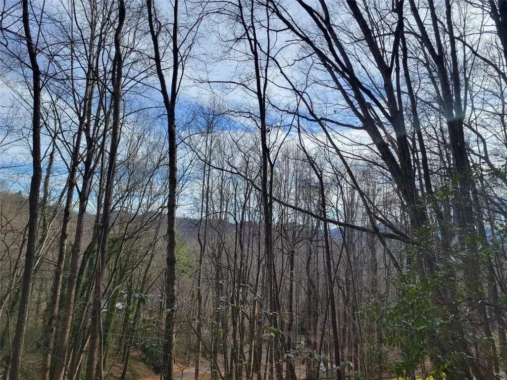 0000 Lookout Terrace Road Black Mountain NC 28711