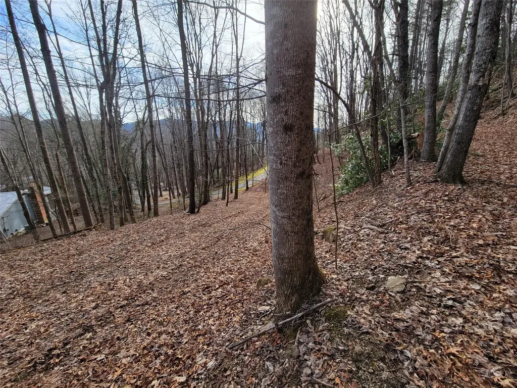 0000 Lookout Terrace Road Black Mountain NC 28711