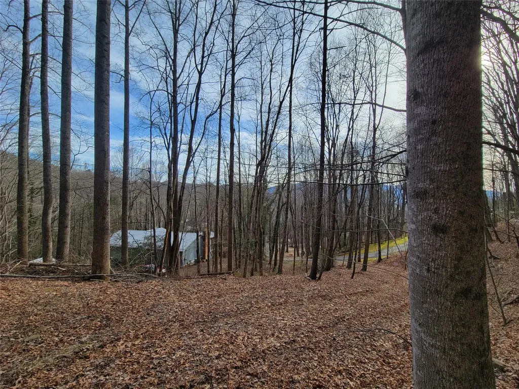 0000 Lookout Terrace Road Black Mountain NC 28711